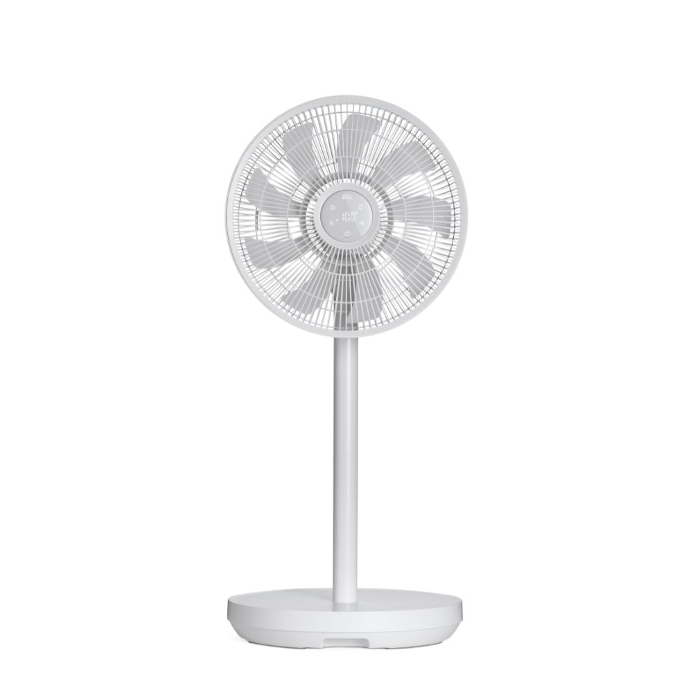 Solis Duo Fan