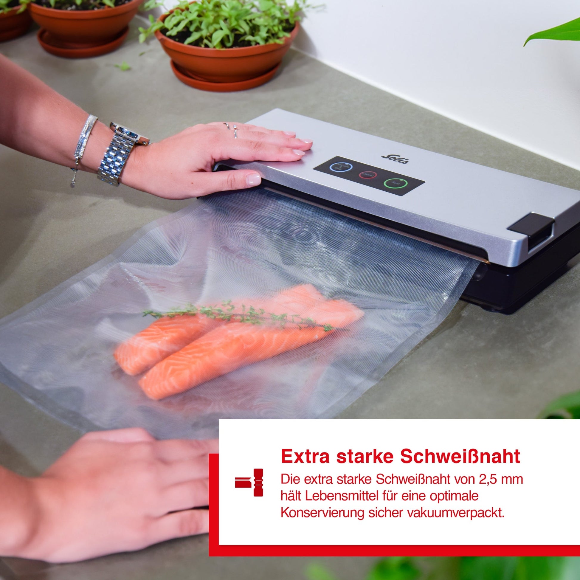 Solis Vac Smart Vakuumierer verschweißt frische Lachsfilets mit Kräutern im Beutel